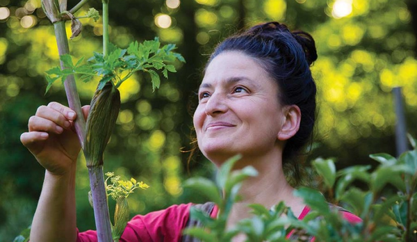 Episode 47: Dina Falconi on questing, responsible foraging, and the Laws of Nature