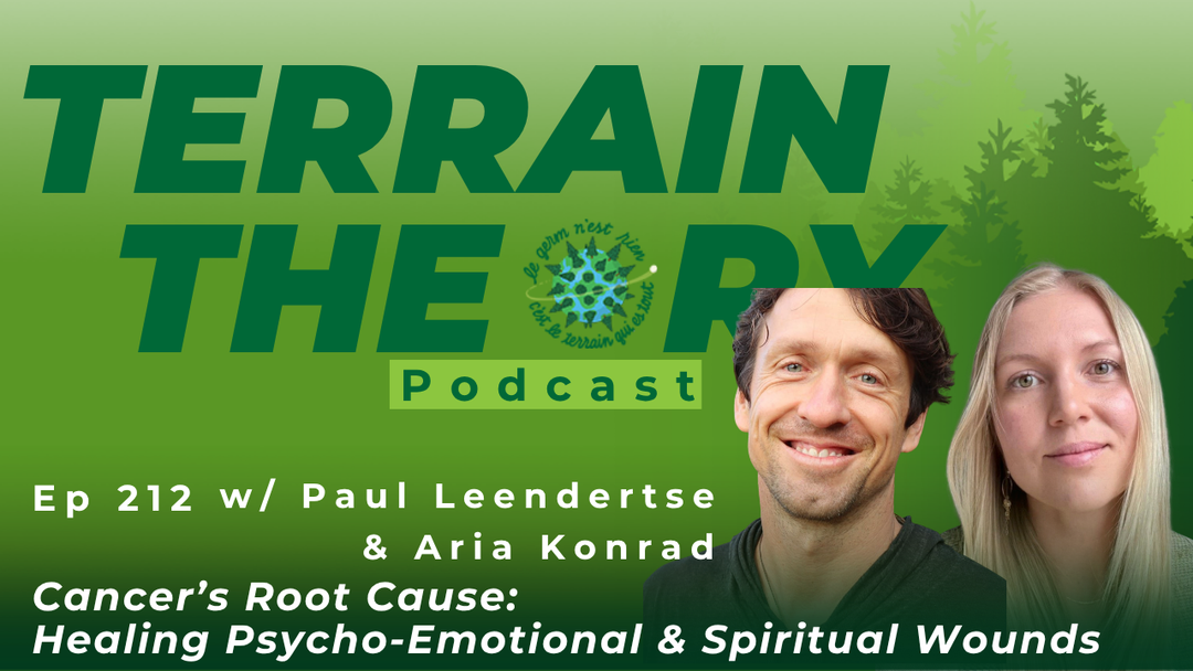 [Ep 212] Cancer's Root Cause: Healing Psycho-Emotional & Spiritual Wounds with Paul Leendertse and Aria Konrad