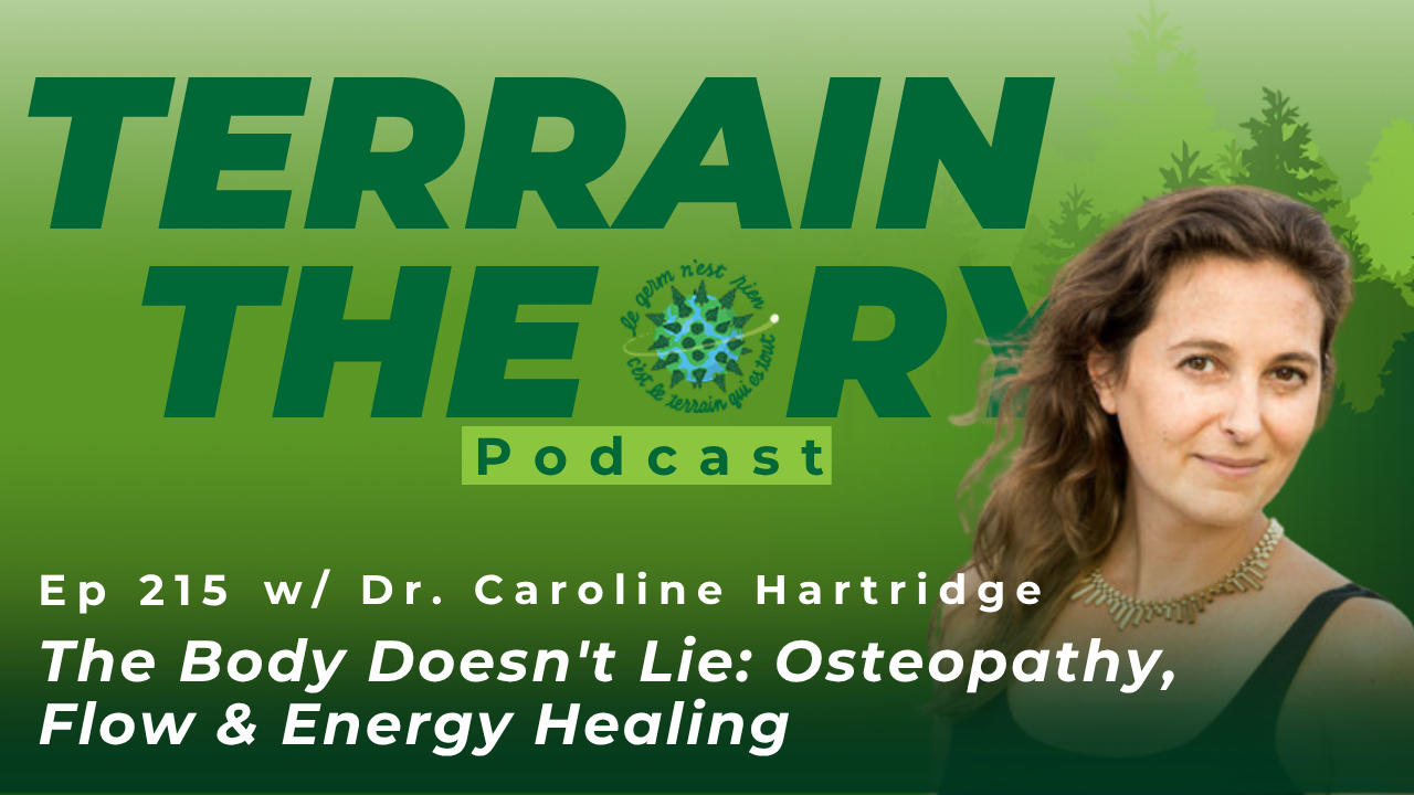 [Ep 215] The Body Doesn't Lie: Osteopathy, Flow & Energy Healing with Dr. Caroline Hartridge