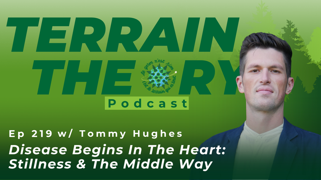 [Ep 219] Disease Begins In The Heart: Stillness & The Middle Way | Tommy Hughes