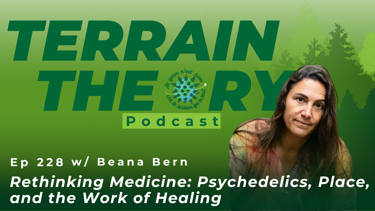 [Ep 228] Rethinking Medicine: Psychedelics, Place, and the Work of Healing | Beana Bern
