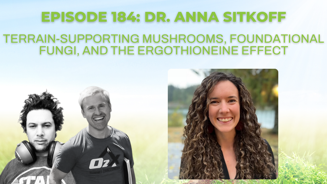 Ep 184: Dr. Anna Sitkoff on Terrain-Supporting Mushrooms, Foundational Fungi, and The Ergothioneine Effect