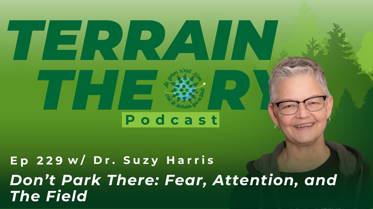 [Ep 229] Don’t Park There: Fear, Attention, and The Field | Dr. Suzy Harris
