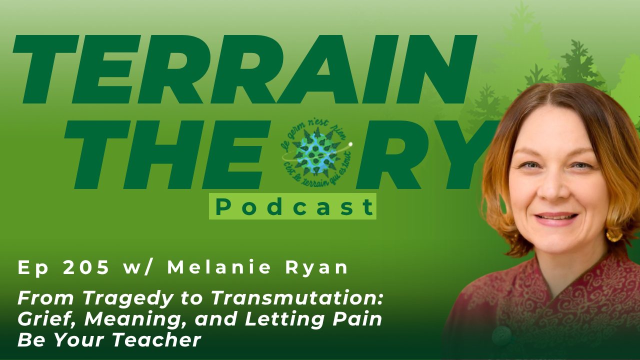 [Ep 205] From Tragedy to Transmutation: Grief, Meaning, and Letting Pain Be Your Teacher with Melanie Ryan