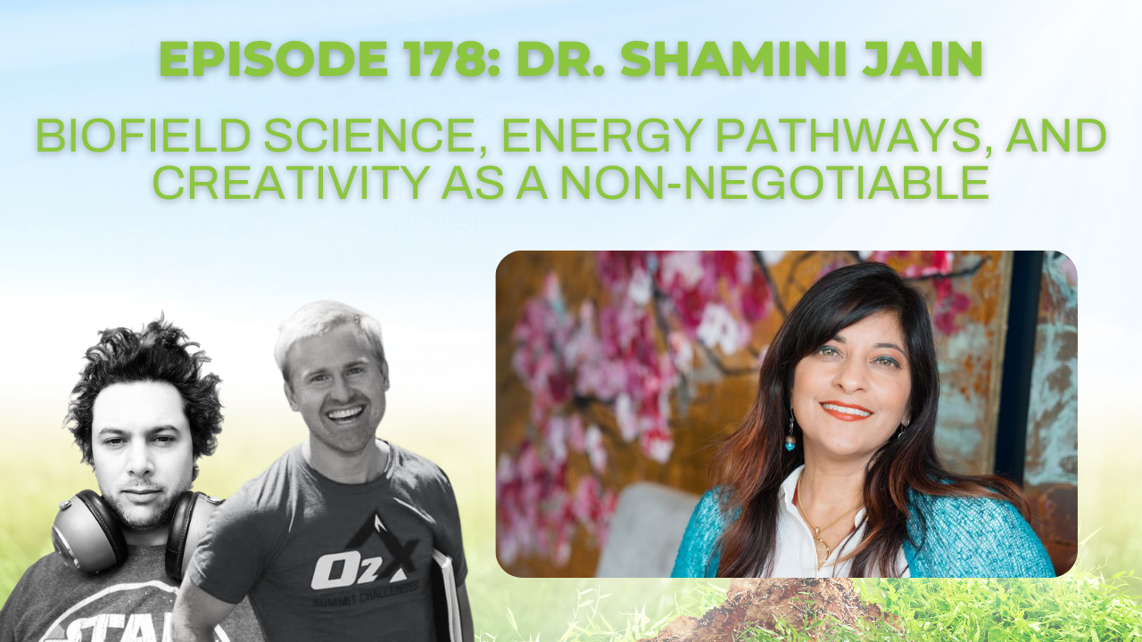 Episode 178: Dr. Shamini Jain on biofield science, energy pathways, and creativity as a non-negotiable