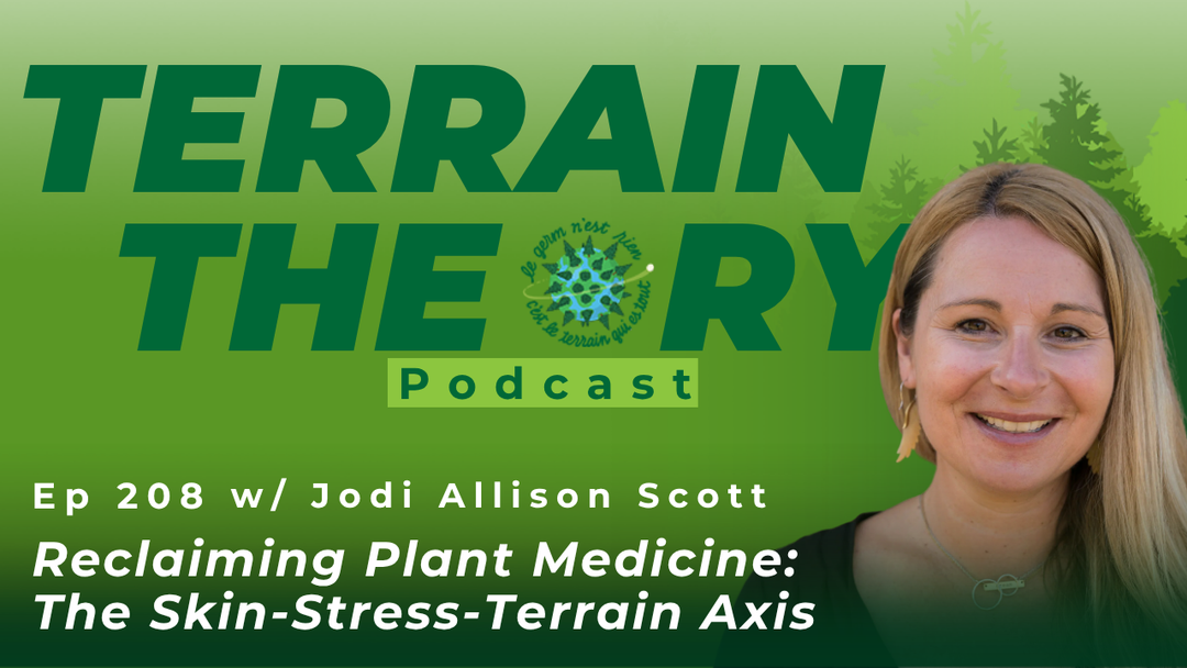 [Ep 208] Reclaiming Plant Medicine: The Skin-Stress-Terrain Axis with Jodi Allison Scott