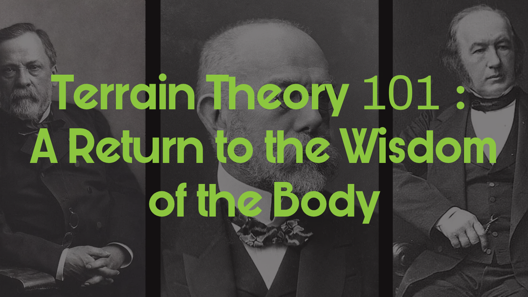 Terrain Theory 101: A Return to the Wisdom of the Body
