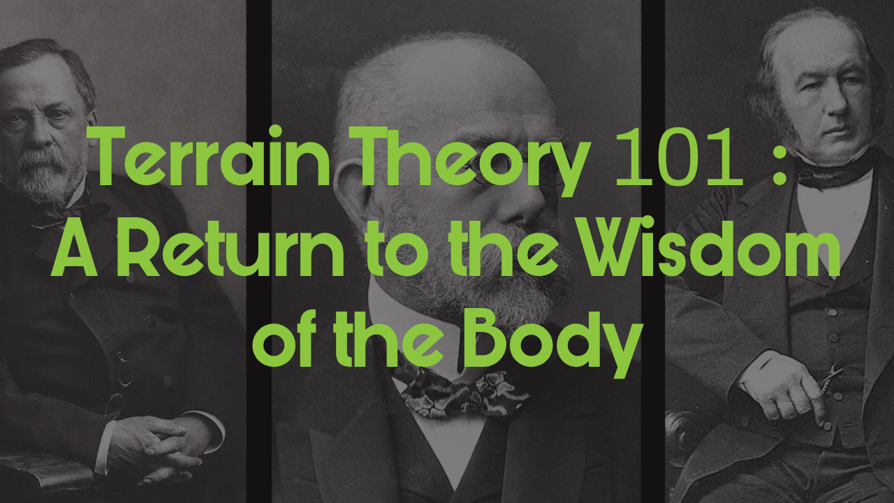Terrain Theory 101: A Return to the Wisdom of the Body