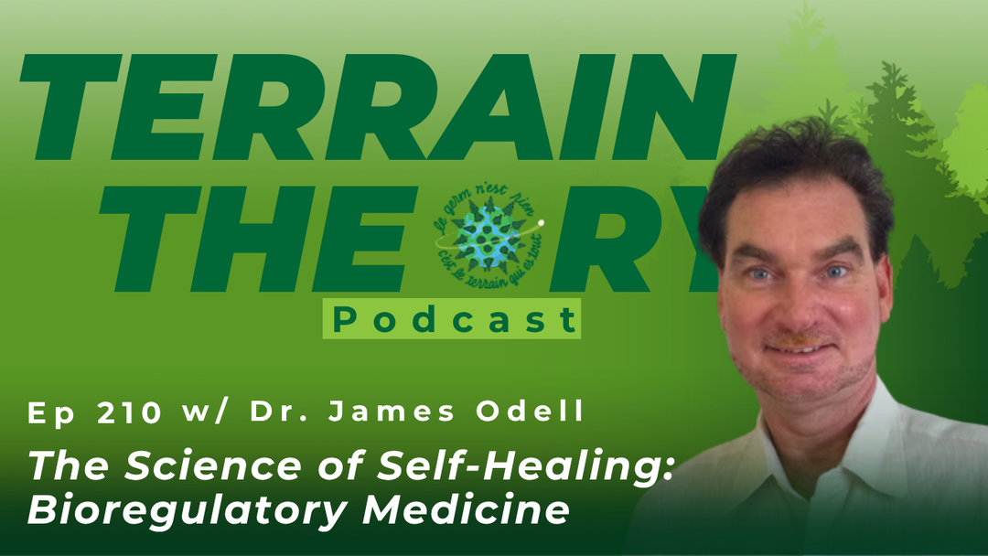 [Ep 210] The Science of Self-Healing: Bioregulatory Medicine with Dr. James Odell